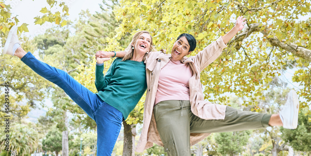 Canvas Prints Dance, happy or senior friends in a park in celebration of a crazy, funny or relaxing holiday vacation in summer. Wellness, old woman or elderly women hugging, bonding or dancing playfuly in nature