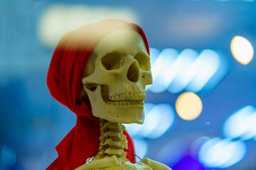 Skull of a skeleton in a red bandana on a blue background