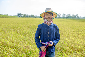 Naklejka na ściany i meble Male farmer standing and posing in rice field