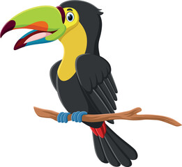 Cute Toucan bird cartoon isolated on white