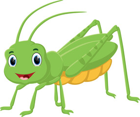 Cartoon cute cricket isolated on white 
