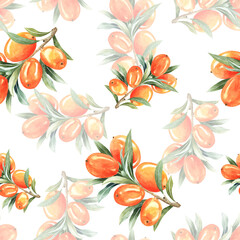 Watercolor sea buck thorn.Seamless pattern watercolor paper, textile, fabric, wrapper, wallpaper and cranberries