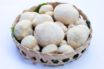 Fresh lion's mane mushroom on white background.