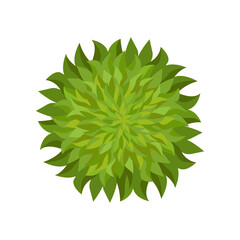 Top view of city bush for scheme vector illustration. Aerial view of tree, plant, street or park element for cityscape plan or map. Landscape design, architecture concept