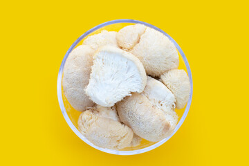 Fresh  lion's mane mushroom on yellow background.