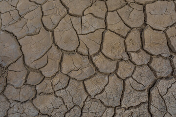 dry cracked earth