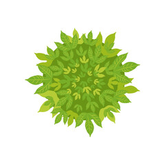 Top view of city tree or bush for scheme illustration. Aerial view of tree, plant, street or park element for cityscape plan or map. Landscape design, architecture concept