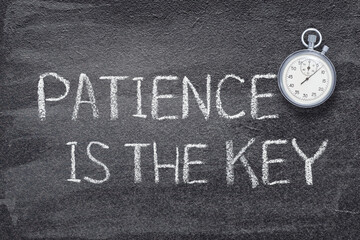patience is the key watch