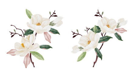 watercolor white magnolia flower and leaf bouquet clipart collection isolated on white background