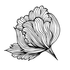 Flower, bud. Contour hand drawing. For your design