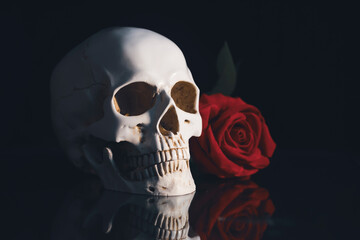Human skull and flowers. Day of the dead, Dia de los muertos character.