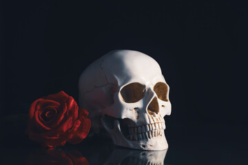 Human skull and flowers. Day of the dead, Dia de los muertos character.