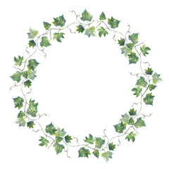 Grapevine leaf grapes wreath circle watercolor illustration hand painted