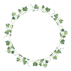 Naklejka premium Grapevine leaf grapes wreath circle watercolor illustration hand painted