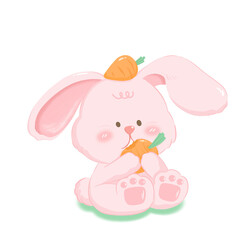 Pinky Rabbit