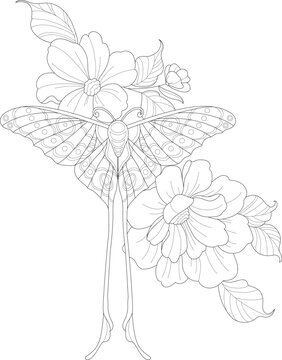 Realistic flowers and butterfly sketch template. Spring season cartoon vector illustration in black and white for games, background, pattern, decor. Coloring paper, page, story book. Print for fabrics