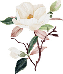 watercolor white magnolia flower and leaf bouquet clipart © Unchalee