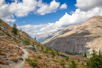 Fototapeta na wymiar Withered autumn grass and rare dwarf trees, paved trial on slopes and gorges in Alps with shadows from white clouds floating across blue sky, Aosta Valley, Italy (Gran Paradiso National Park)