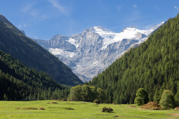 Fototapeta na wymiar View of Saint Orso meadow and slopes of steep gorge with evergreen pine forest, impregnable granite alpine cliffs with snowy peaks. Cogne, Aosta Valley, Italy