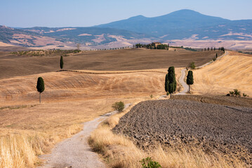 Obraz premium Picturesque countryside road with cypress among yellow summer fields in Tuscany, Italy