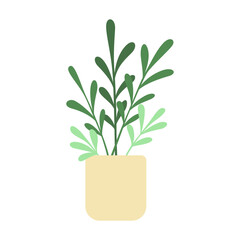 Aesthetic Plant Illustration