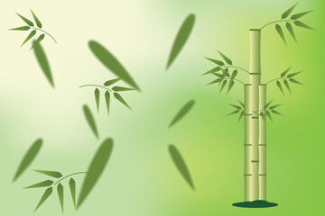 bamboo background with bamboo and leaf