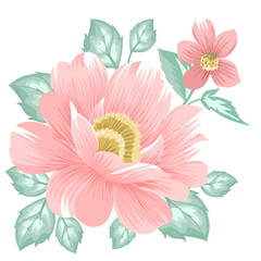 Fototapeta na wymiar flower Cotton rose hibiscus a pink color and leaf a green color for decoration , wedding , postcard , design