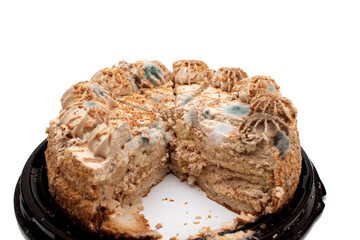 Mold growing on cake. Green fungus on the cake.