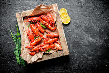 Boiled crayfish on paper in tray with dill and lemon.