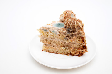 Expired piece of cake with mold fungus