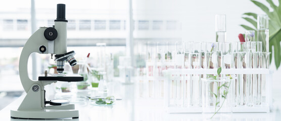 Tests of plants in laboratory. Glasswares and microscope in classroom or laboratory. Science and education. Scientific experiment, Researcher, Research concept