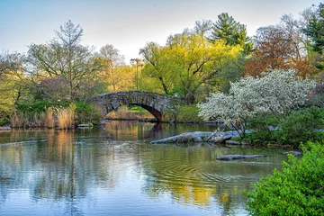 Photo sur Plexiglas Pont de Gapstow Gapstow Bridge in Central Park