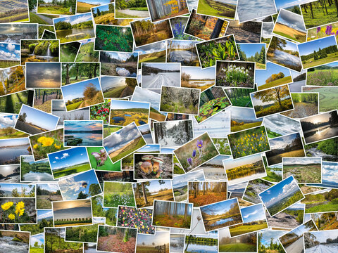 Group of many printed photos with nature and landscape themes