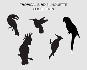 Tropical bird silhouette collection