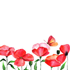 
Watercolor red poppy in a congratulatory frame.