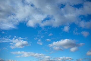 Detail of intense blue sky in broad daylight with fluffy white cumulus