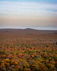 South Africa, Bush, Wildlife, Landscape