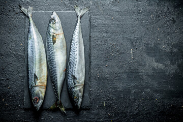 Fish mackerel on a stone Board.