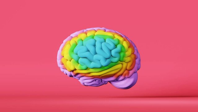 Colorful rainbow human brain 3d animation pink. LGBT pride symbol. Color psychology behavior. World autism awareness day concept. Genius Artistic creativity Neurology science. Cognitive development