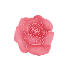 Pink Rose. Valentine Symbols. Watercolor Flower. 