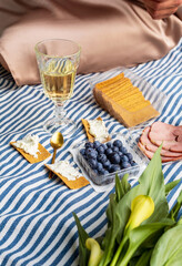 Romantic picnic in the park on the nature. Sandwiches, berries, cheese, chips and fruits for breakfast. Sandwich with meat and lemonade.