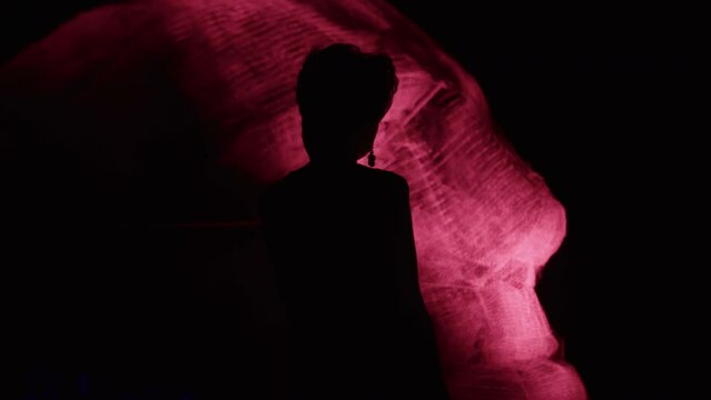 Young woman at modern art exhibition against neon sculpture. Female silhouette in front of huge red glowing head in dark space of museum at conceptual party