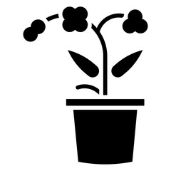 orchid flower in pot illustration