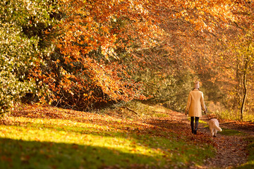 Rear View Of Woman With Pet Golden Retriever Dog On Walk Along Track In Autumn Countryside