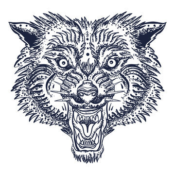 Angry wolf head. Old school tattoo vector art. Aggressive werewolf portrait. Gothic animal. Old school tattoo vector art. Hand drawn graphic. Isolated on white. Traditional flash tattooing