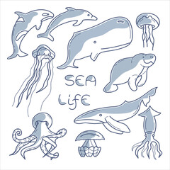 Vector set of sea life  hand drawn blue line. 10 different elements jellyfishes, dolphin, killer whale, whale, sperm whale, octopus, squid, manatee. 