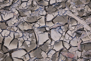 Top view of the dried up cracked soil. Drought, global warming, climate change concept