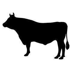 Animales de granja. Silueta de toro de raza guernsey