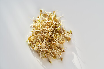 Top view of fresh fenugreek sprouts