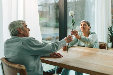 Obraz premium elder woman with happy expression taking a rose given as present from her man - flower as gift for Valentine's Day, birthday, or wedding anniversary - happy retired couple concept